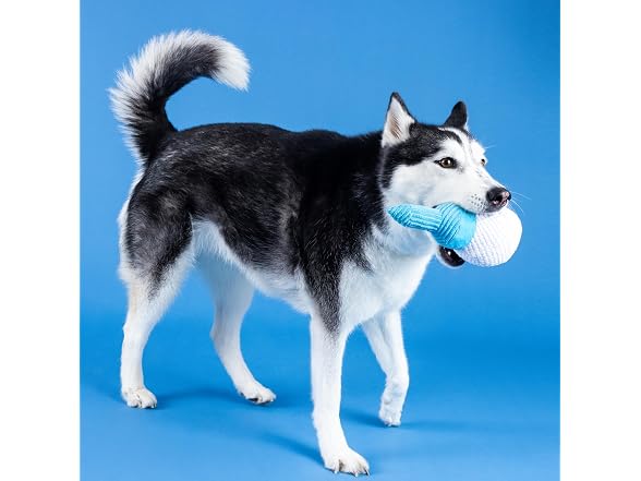 Fringe Studio Plush Dog Toy, Today is TEE-RIFFIC