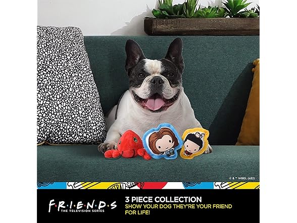 Friends the TV Show WB Friends