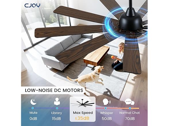 CJOY Ceiling Fan with Light | 72in