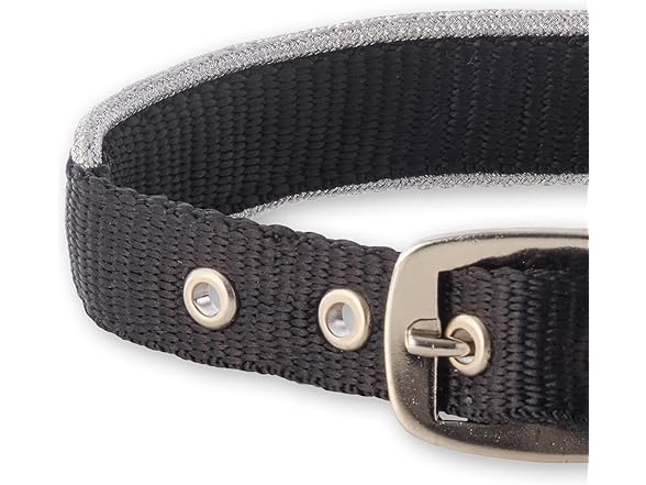 Pet Passion Silver Trimmed Dog Collar