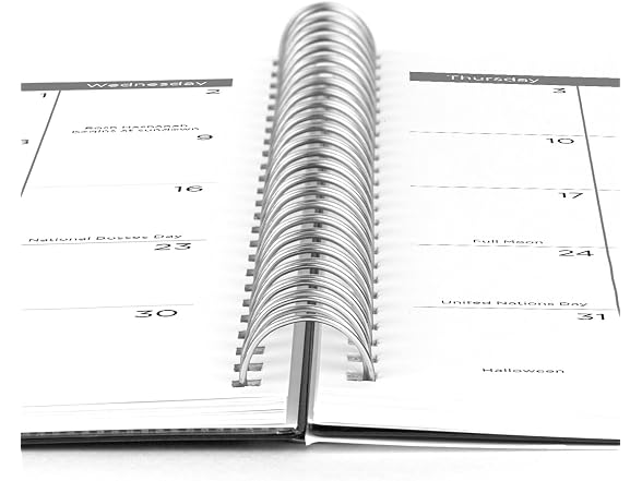 Mead Mead 2025 Planner, Small