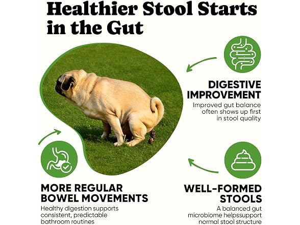 BuddyCheer Probiotics Dogs 180ct 4-Pre