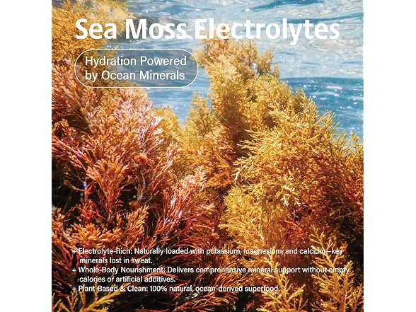 VDY Sea Moss Electrolytes Powder Packets
