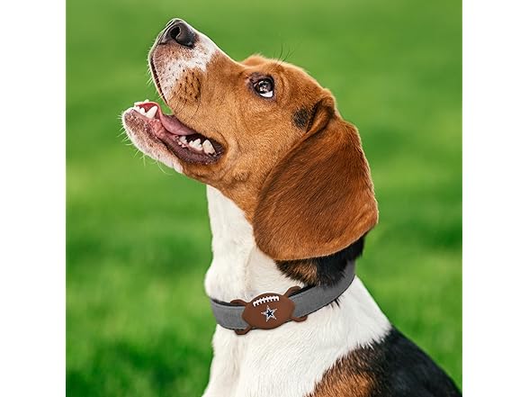 NFL Apple AIR TAG Holder for Dogs