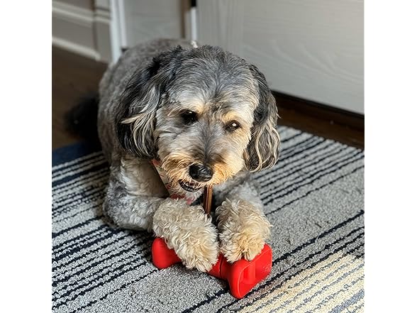SPOT Bully Stick Treat Holder