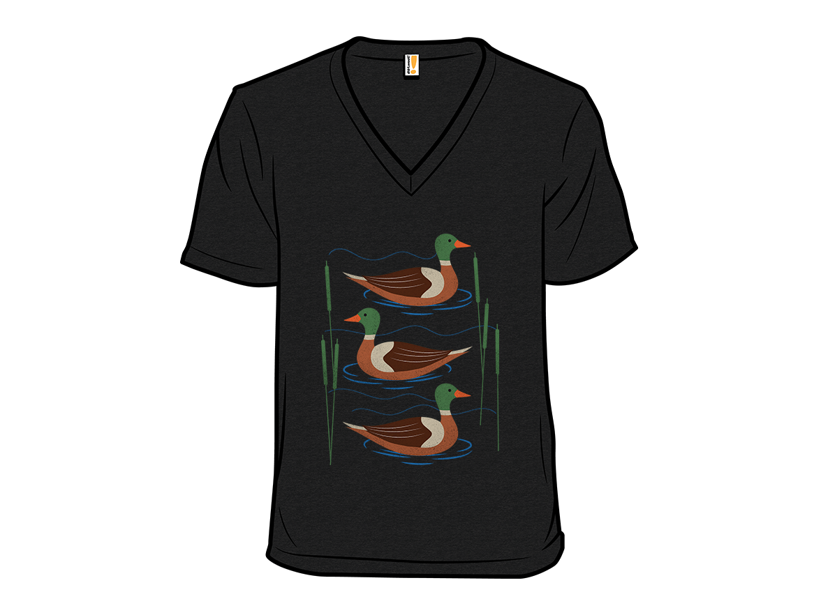 Ducks in the lake - Gallery 10