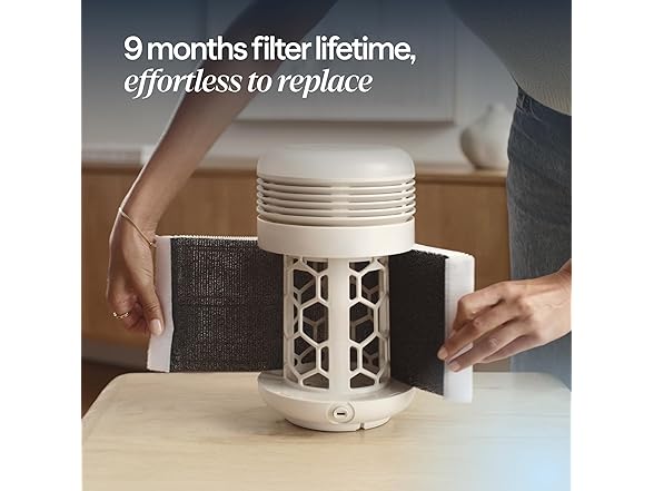 BLUEAIR Purifier & Sunrise Alarm Clock