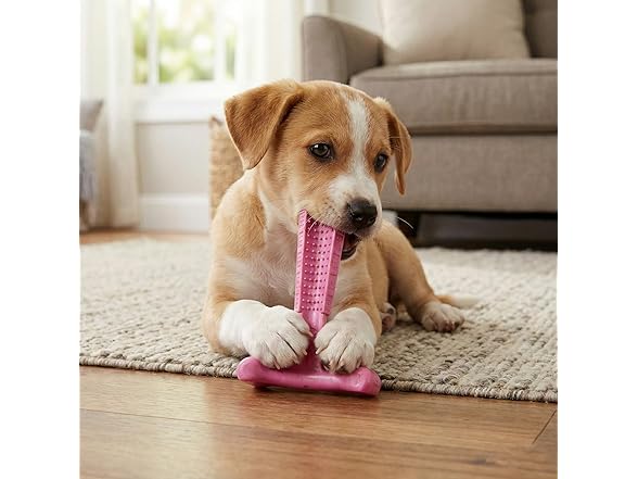 SPOT Bam-Bones Puppy T-Bone Dog Chew Toys, 2PK