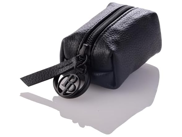 Rein - The Recycled Vegan Leather Pouch w Bags