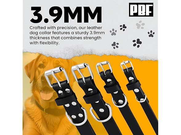 PBF Leather Dog Collar - Genuine Top