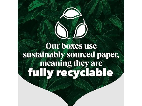 80CT PG Tips Original Non-Pyramid Black Tea Bags