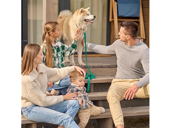 Viper Biothane K9 Working Dog Leash Wate Lea