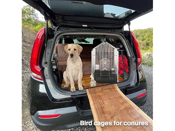 Bird Carrier Travel Cage, 21 inch with Wooden Perch