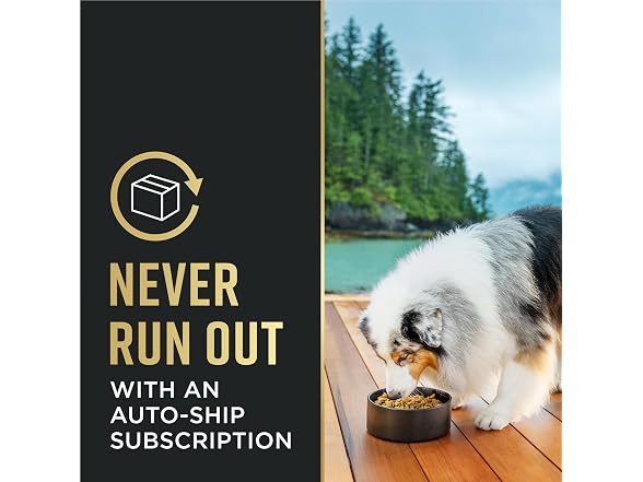 Purina Pro Plan Small Breed Senior Dog Food, Shred