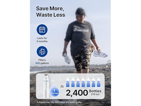 Water Filter Replacement