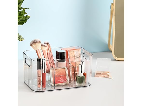 5-Compartment Clear Plastic Bin