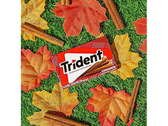 (15-Pack) Trident Cinnamon Sugar-Free Chewing Gum