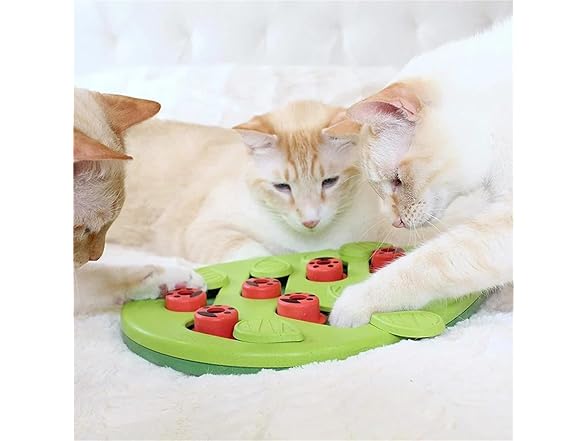 RXJPASD Cat Treat Puzzle and Scratch Board Combo Toy