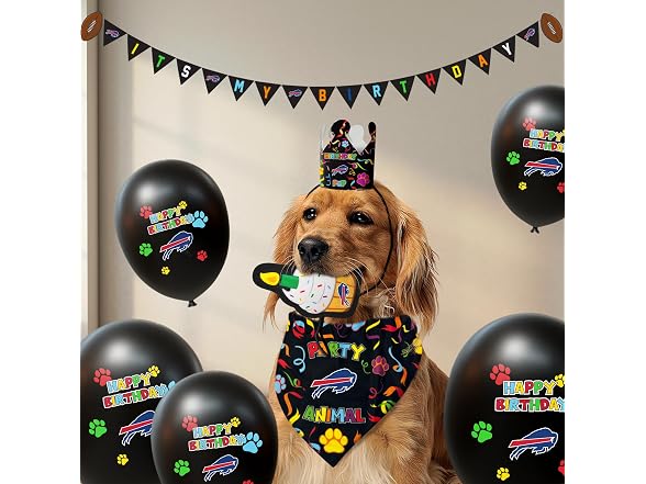NFL Buffalo Bills Pet Birthday Crown, NFL Dog