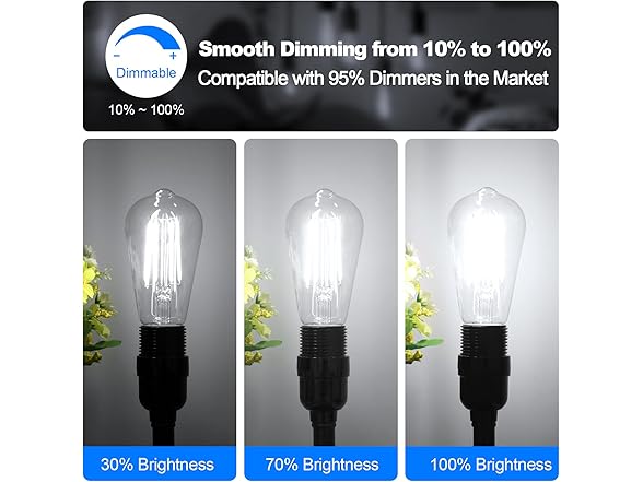 Vintage LED Edison Bulbs 60 Watt Equivalent Dimmable 7W