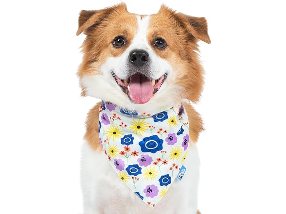 The Dodo Dog Bandana, April Flowers, One-Size - Floral