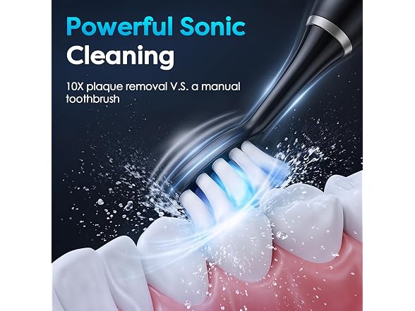 Electric Toothbrush
