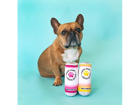 Fringe Studio Plush Dog Toy Set, 2-Piece