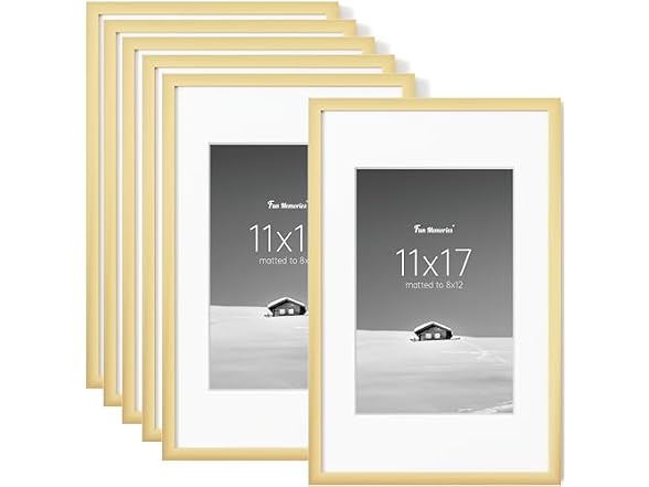 Fun Memories 11x17 Picture Frames Gold