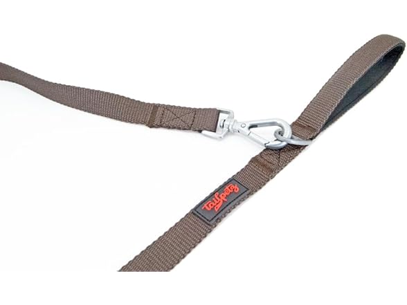 ailpetz Basic Match Pet Leash 4,58ft