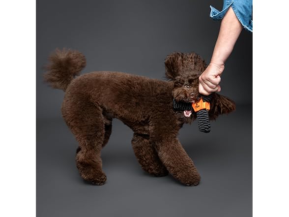 NOAH & PAW Luxury Dog Toy, Dog Rope Toy- Y Flyer, Black