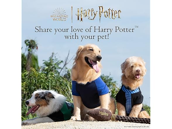 HARRY POTTER Slytherin Pet Hoodie w Scarf