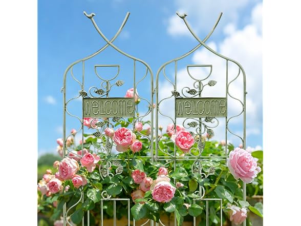 LZRS 2 Pack 59.5 * 18in Garden Trellis