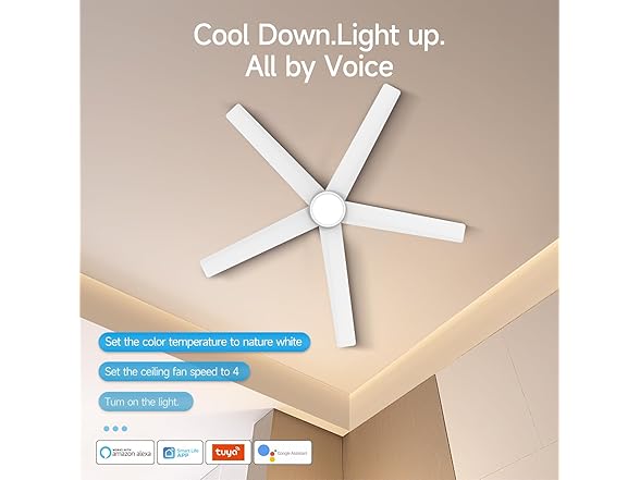 ocioc 52in Smart Ceiling Fan Alexa