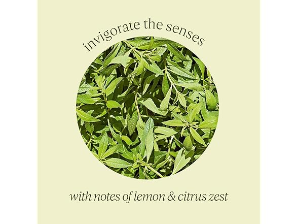 Shea Verbena Hand & Body Liquid Refill