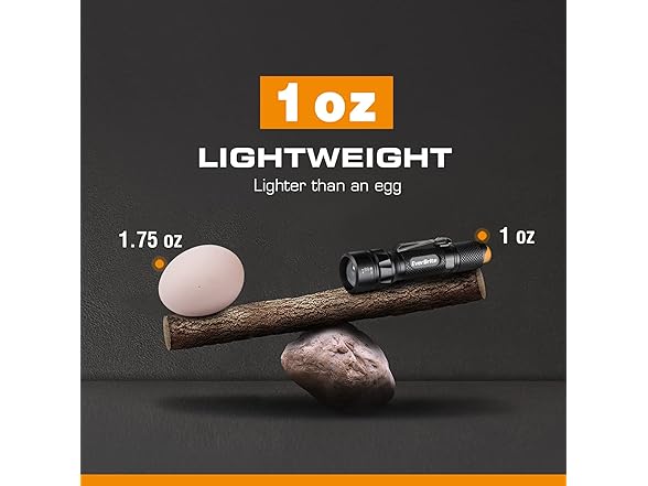 EverBrite Small 80 Lumen Aluminum LED Flashlight