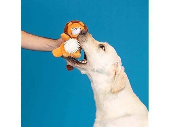 Fringe Studio Plush Dog Toy, CAN’T BE Tamed