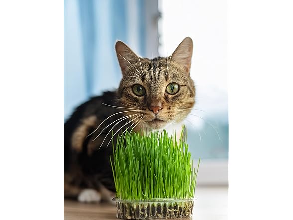 4ft 55W Full Spectrum Grow Light