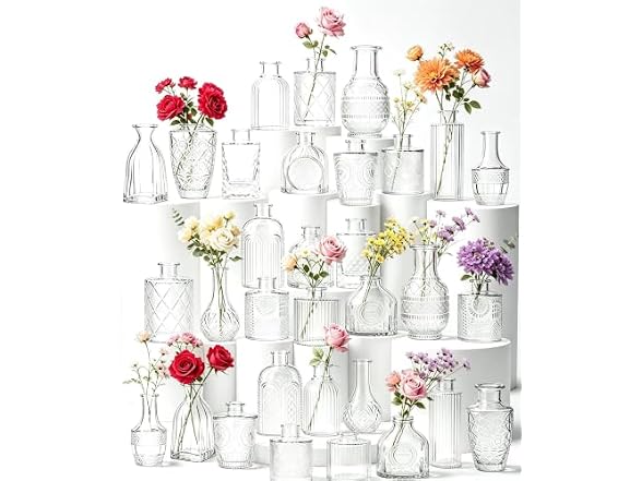 Sawoake Mini Bud Vases Set of 12 As