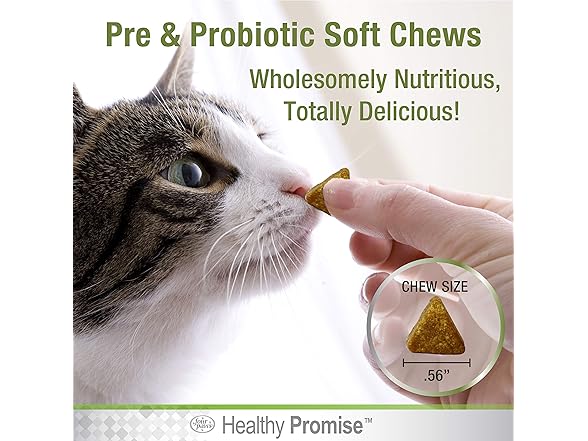 Four Paws Healthy Promise Pre & Probiotic
