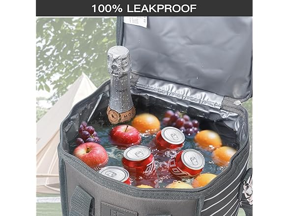 Elements insulated Cooler Bag