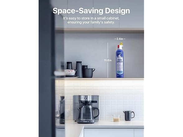 (3 Pack) PLEMO Fire Extinguisher | F62N