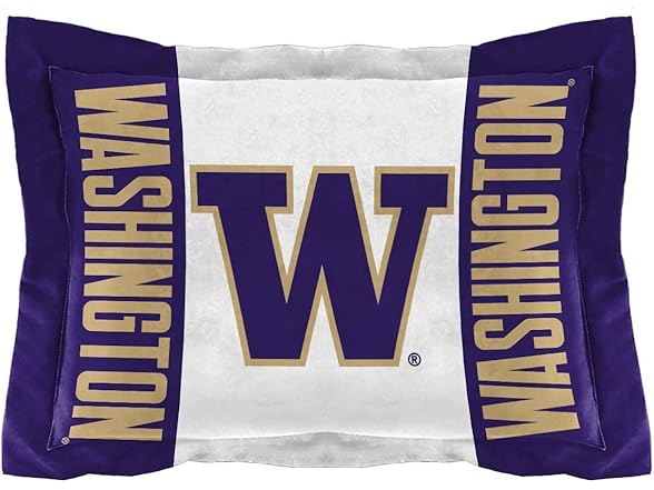UW Huskies Twin Comforter Modern