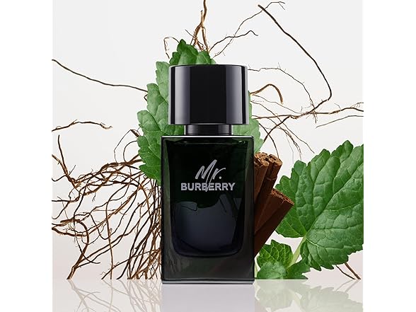 BURBERRY Mr Eau de Parfum