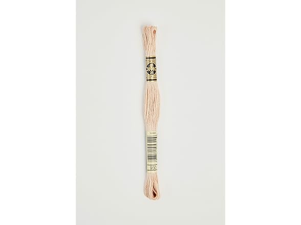 Dmc 6-Strand Embroidery Cotton 8.7yd-Light Brown