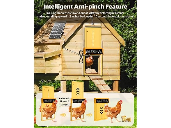 Automatic Chicken Coop Door