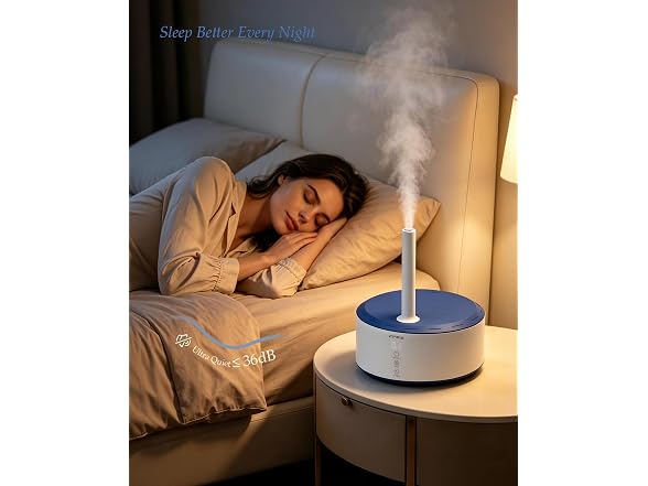 CPES C10 4.2L Humidifier for Bedroom