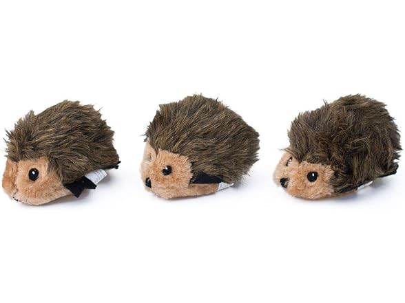 Hedgehog Miniz - Gallery 3