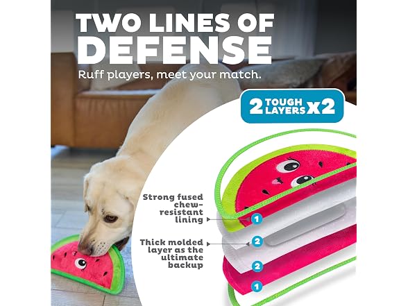 Outward Hound Tough Skinz Durable Squeaky Dog