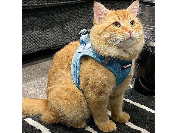 Voyager Step-in Cat Leash Harness Set