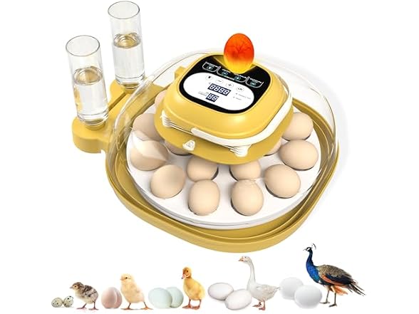 Egg Incubators For Hatching Eggs